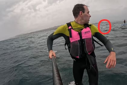 En el video, se puede observar al tiburón blanco mientras sigue de cerca a uno de los surfers