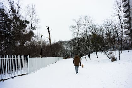 En enero de 2025, Florida experimentó una tormenta invernal atípica que superó cifras récord