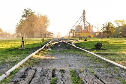 En enero, el circuito de almacenes tiene su propia fiesta de la tradición