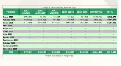 En enero, febrero y marzo Corrientes produjo más hoja verde, materia prima yerbatera, que las cinco sub-zonas que releva el INYM de Misiones (Centro, Noroeste, Noreste, Oeste y Sur)