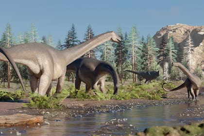 En enero hallaron en Neuquén los restos de un dinosaurio herbívoro extinto hace 90 millones de años