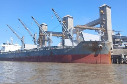 En enero pasado las exportaciones agroindustriales alcanzaron los 10,63 millones de toneladas y generaron divisas por 4152 millones de dólares