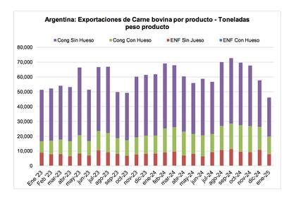 En enero pasado, las exportaciones de carne vacuna se desplomaron y solo alcanzaron un volumen de 46.200 toneladas peso producto por un valor de US$227,7 millones