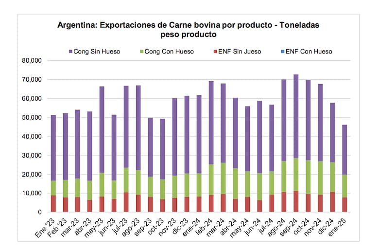 Informe