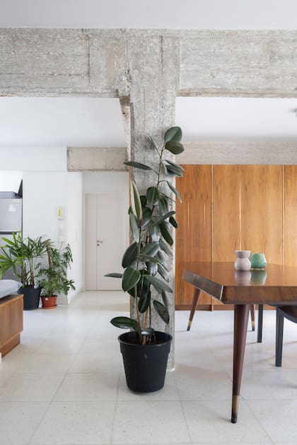 En entornos urbanos, las plantas introducen naturalidad y frescura, equilibrando la dureza de materiales como el hormigón.