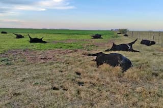 Qué hay detrás de una sorpresiva muerte de hacienda