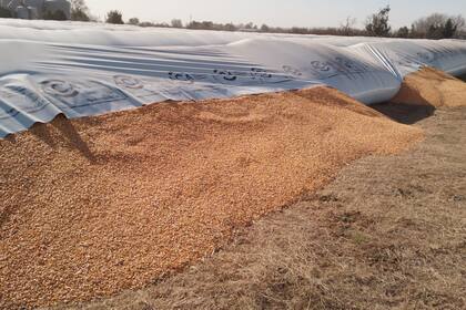 En esa localidad hubo otros casos de robo de granos que estaban en campos de productores