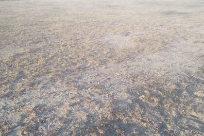 En esa región no se han registrado lluvias desde diciembre del año pasado