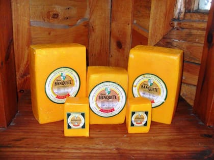 En ese camino para obtener la Denominación de Origen, el Clúster Quesero, que integra también la Escuela Granja con otras empresas locales, se puso la misión al hombro