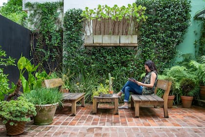 En espacios reducidos, un recurso válido es usar enredederas o plantas en altura