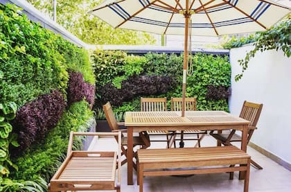 En espacios urbanos, los jardines verticales son una forma excelente de aportar verde