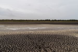 Las sequías “flash” se están desatando por todo el planeta: qué son y cómo surgen