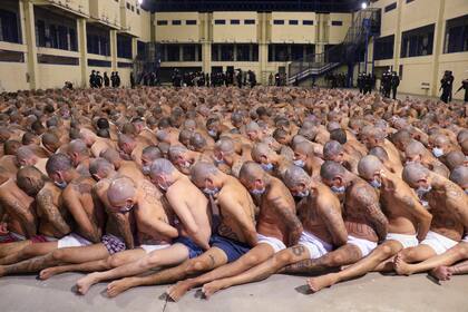 En esta foto publicada por la Secretaría de Prensa de la Presidencia de El Salvador, los reclusos están en fila durante una operación de seguridad para castigar a los pandilleros. Algunos críticos dijeron que la medida era humillante y podría exponer a los presos al coronavirus