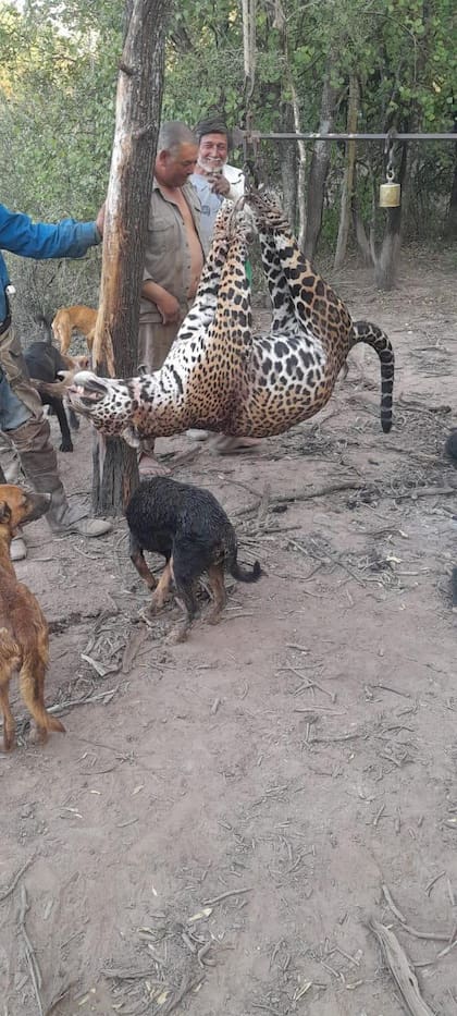En esta fotografía se identifican al menos cuatro presuntos perpetradores del asesinato del yaguareté