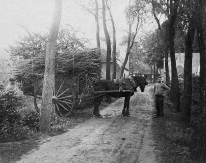 En esta fotografía, tomada entre 1900 y 1911, se pueden identificar los álamos que bordean ambos lados de la Weverstraat (De Drijehornick Sociedad de Historia Local)