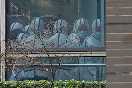 En esta imagen de archivo, miembros de un equipo de la OMS equipados con trajes de protección, vistos a través de una ventana durante una visita al Centro de Prevención y Control de Enfermedades de Animales, en Wuhan, en la provincia de Hubei, en el centro de China, durante una visita para tratar de descubrir los orígenes del coronavirus, el 2 de febrero de 2021. (AP Foto/Ng Han Guan, archivo)