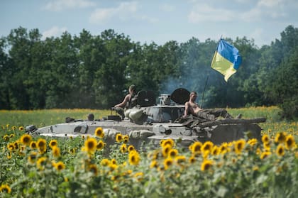 En esta imagen de archivo, soldados ucranianos a bordo de un tanque con la bandera del país, pasan junto a un campo de girasoles en Kryva Luka, en el este de Ucrania, el 5 de julio de 2014 (AP Foto/Evgeniy Maloletka)