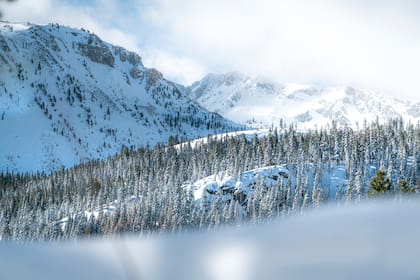 En esta imagen publicada por Mammoth Lakes Tourism, la nieve cubre la montaña Mammoth el martes 20 de febrero de 2024 en Mammoth Lakes, California