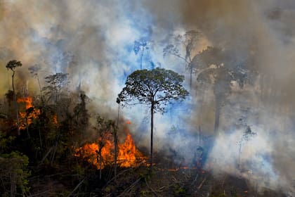 En esta imagen tomada el 15 de agosto de 2020, el humo se eleva de un fuego encendido ilegalmente en la reserva de la selva amazónica, al sur de Novo Progresso en el estado de Pará, Brasil.