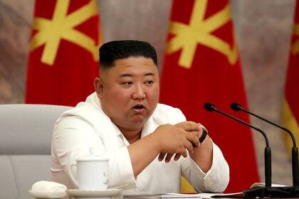 Las autoridades de Corea del Norte prometieron intercambiar a los animales doméstico por arroz y aceite chinos
