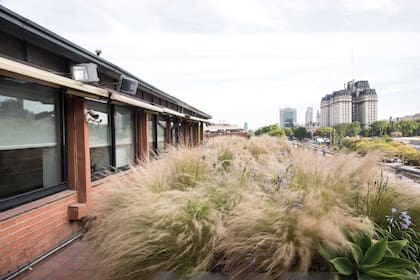 En esta terraza de Puerto Madero, la vegetación se ve espontánea en su distribución. Se repitieron diseños con un camino central interrumpido por macetas.