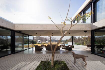 En esta toma puede verse la integración entre el mundo interior con el exterior _ Arq. Mariano Fiorentini / Fotografía: Ramiro Sosa.