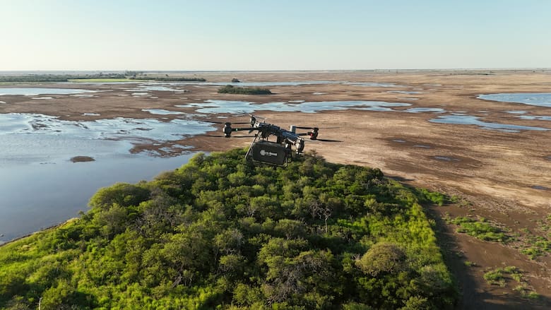 Drones y cápsulas biodegradables: la nueva forma de reforestar