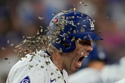 En Estados Unidos se festejan los campeonatos de béisbol arrojándoles semillas de girasol a los jugadores