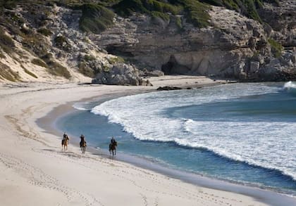 En estas playas hay muchos tiburones blancos porque entre abril y septiembre alrededor de 60.000 lobos marinos frecuentan estas aguas, la comida preferida de estos peligrosos animales