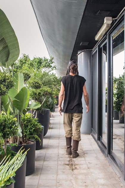 En este balcón corrido de 30m corridos, perteneciente a una oficina, el viento del sur es muy fuerte, especialmente durante el invierno. Hoy los empleados se apropian del espacio, y llevan gajos desde sus casas.