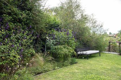 En este cantero se colocaron herbáceas de flor como salvias.