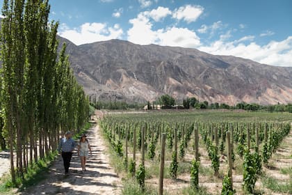 En este escenario, si bien para las bodegas Wine of Argentina es cara porque se paga un porcentaje de las exportaciones, igual lo hacen porque “encuentran que el trabajo que están haciendo es bueno”