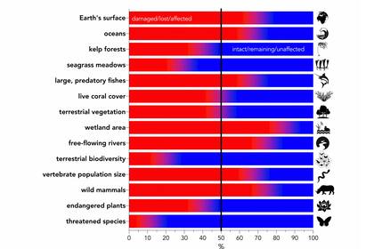 Resumen de las principales categorías de cambios ambientales expresadas como porcentaje en relación con la línea de base dada en el texto