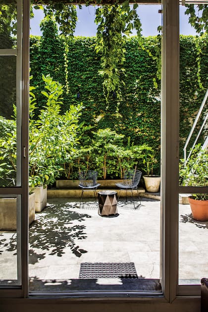 En este gran PH en Palermo, la vista desde la planta baja termina en un muro que se cubrió con una enredadera de hoja caduca para disfrutar de distintos colores según la estación.