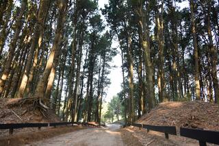 El pueblo de mar top en el que se pueden comprar terrenos en cuotas a tres años y empezar a construir ya