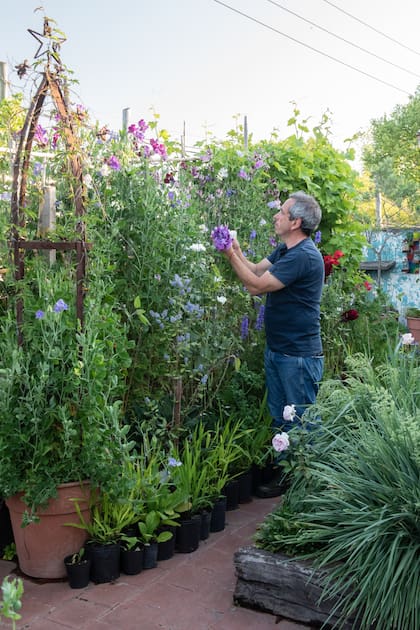 En este reducido espacio se siembran y cuidan trepadoras, arbolitos, herbáceas y gramíneas hasta que estén listas para desarrollarse en un nuevo jardín.