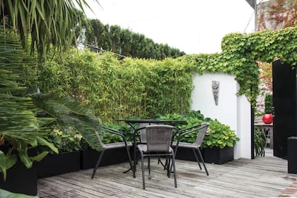 En este sector, las cañas podadas hacen de muro hacia la calle.