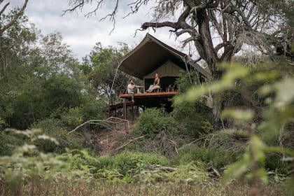 En este sitio se puede vivir una experiencia en medio de la vida silvestre