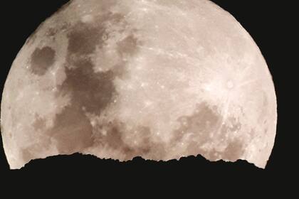 “En estos meses estuve con sesiones de fotos, que luego subo a mis redes", cuenta Conrado Krutz