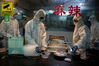 Las empresas se reorganizan para afrontar la crisis