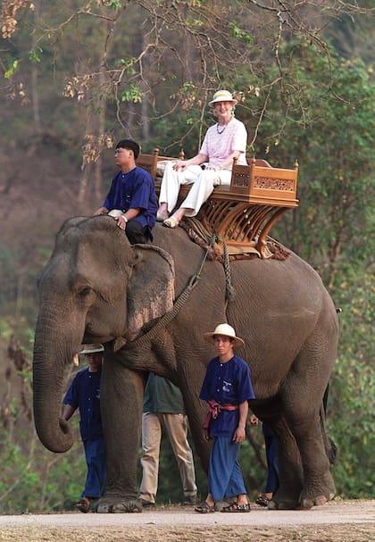 En febrero de 2001, durante una visita de Estado a Tailandia, Margarita II monta en un elefante en el Centro de Conservación de Elefantes de Chiang Mai.