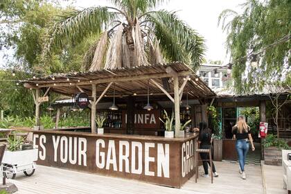 En Fedra´s ofrecen tragos de autor coloridos con tintas naturales que extraen de productos como cardamomo, lemon grass e hibiscus