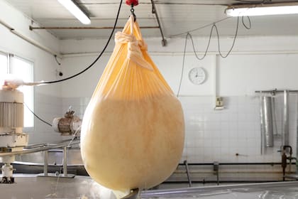 En Fermier hacen quesos de primera calidad