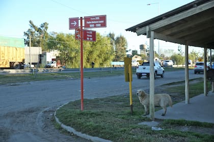 Lugar donde choco el auto cerca de la Curva de la Chona