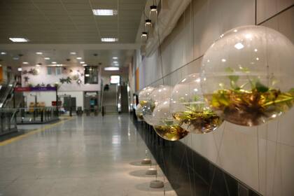 Las tres estaciones beneficiarán a 90.000 pasajeros diarios y sumarán a 63.000 usuarios nuevos a la red de subtes de la Ciudad