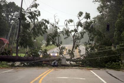 El viento derribó arboles y postes de luz, dejando carreteras cortadas y sin suministro eléctrico a miles de familias