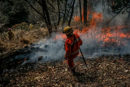 Varias dotaciones de bomberos trabajan en la zona de la Estación Astrofísica