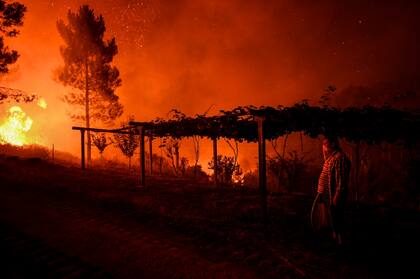 En fotos: más de mil bomberos luchan contra un incendio enorme en Portugal