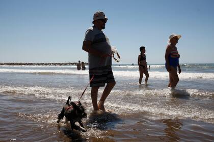 En Playa Grande también sale un chapuzón perruno