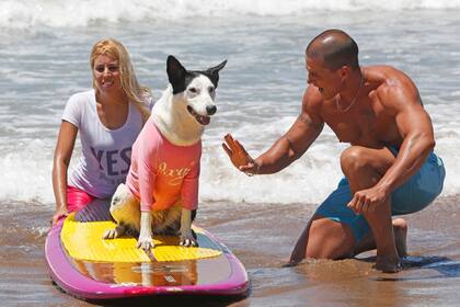 Tabla y remera, todo listo para aprender surfing